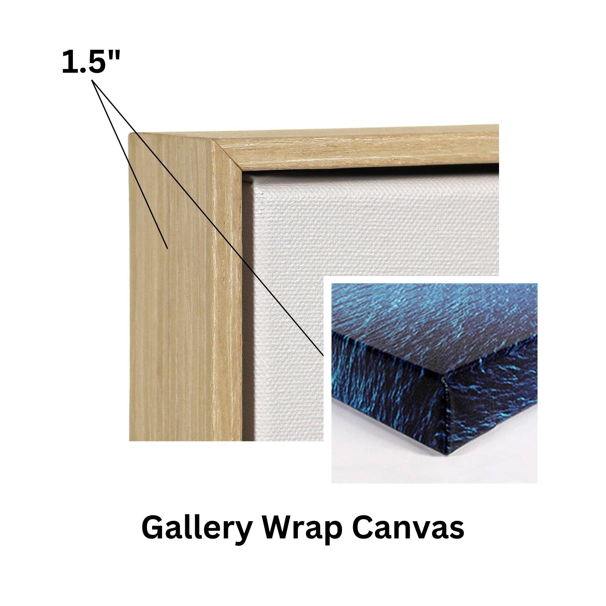Coral Cables Wall Art Canvas Print